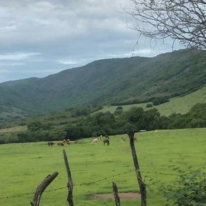 Meet your Posher, Rose